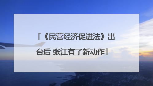 《民营经济促进法》出台后 张江有了新动作