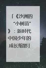《沙洲的“小树苗”》：新时代中国少年的成长缩影