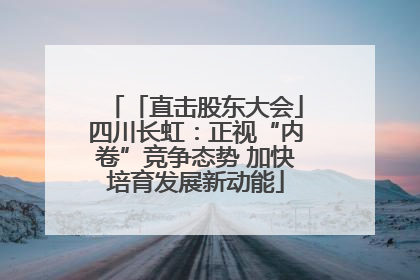 「直击股东大会」四川长虹：正视“内卷”竞争态势 加快培育发展新动能