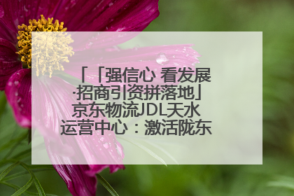 「强信心 看发展·招商引资拼落地」京东物流JDL天水运营中心：激活陇东南区域经济新引擎