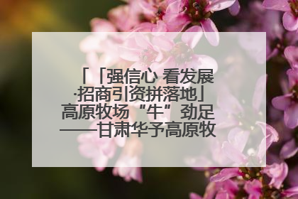 「强信心 看发展·招商引资拼落地」高原牧场“牛”劲足——甘肃华予高原牧场高标准奶牛肉牛养殖项目一线见闻