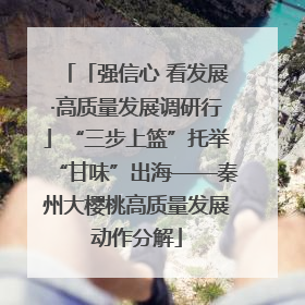 「强信心 看发展·高质量发展调研行」“三步上篮”托举“甘味”出海——秦州大樱桃高质量发展动作分解