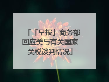 「早报」商务部回应美与有关国家关税谈判情况