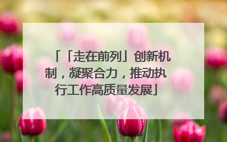 「走在前列」创新机制，凝聚合力，推动执行工作高质量发展