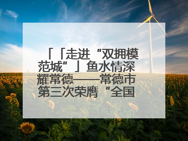 「走进“双拥模范城”」鱼水情深耀常德——常德市第三次荣膺“全国双拥模范城”