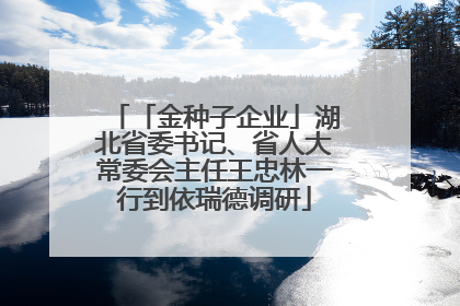「金种子企业」湖北省委书记、省人大常委会主任王忠林一行到依瑞德调研