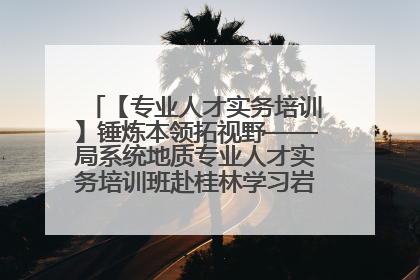 【专业人才实务培训】锤炼本领拓视野——局系统地质专业人才实务培训班赴桂林学习岩溶地质防灾与韧性城市建设前沿实践
