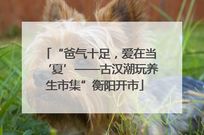 “爸气十足，爱在当‘夏’——古汉潮玩养生市集”衡阳开市
