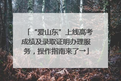 “爱山东”上线高考成绩及录取证明办理服务，操作指南来了→
