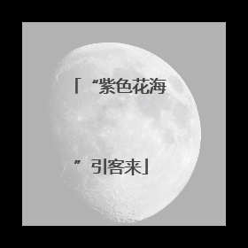 “紫色花海”引客来