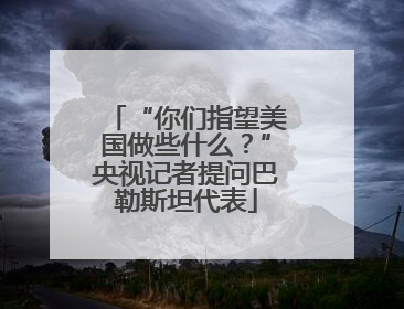 “你们指望美国做些什么？”央视记者提问巴勒斯坦代表