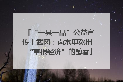 “一县一品”公益宣传丨武冈：卤水里熬出“草根经济”的醇香