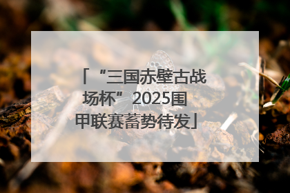 “三国赤壁古战场杯”2025围甲联赛蓄势待发