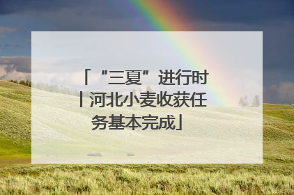 “三夏”进行时丨河北小麦收获任务基本完成