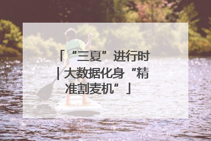 “三夏”进行时｜大数据化身“精准割麦机”