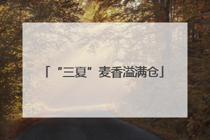 “三夏”麦香溢满仓