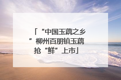“中国玉藕之乡”柳州百朋镇玉藕抢“鲜”上市