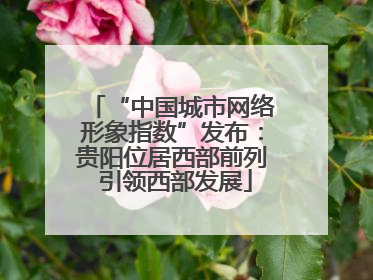 “中国城市网络形象指数”发布：贵阳位居西部前列 引领西部发展