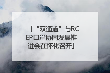 “双通道”与RCEP口岸协同发展推进会在怀化召开