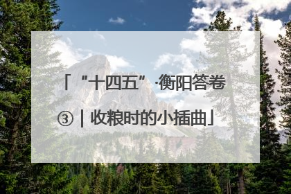 “十四五”·衡阳答卷③｜收粮时的小插曲