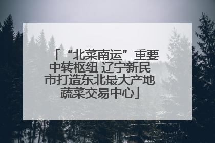 “北菜南运”重要中转枢纽 辽宁新民市打造东北最大产地蔬菜交易中心