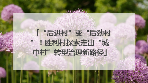 “后进村”变“后劲村”！胜利村探索走出“城中村”转型治理新路径
