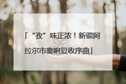 “孜”味正浓！新疆阿拉尔市奏响夏收序曲