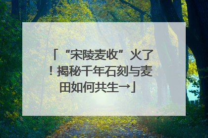 “宋陵麦收”火了！揭秘千年石刻与麦田如何共生→