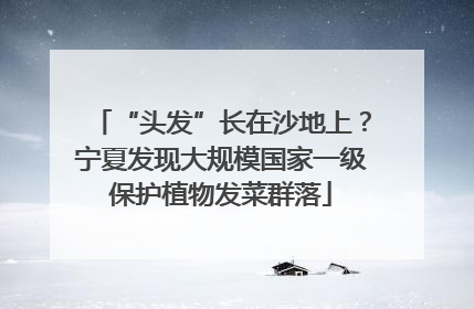 “头发”长在沙地上？宁夏发现大规模国家一级保护植物发菜群落