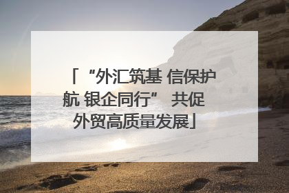 “外汇筑基 信保护航 银企同行” 共促外贸高质量发展