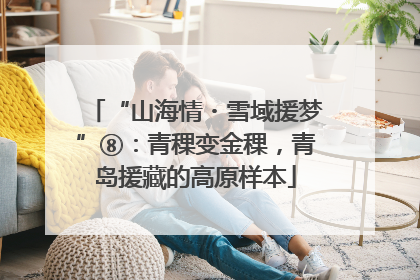 “山海情・雪域援梦”⑧：青稞变金稞，青岛援藏的高原样本
