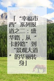 “幸福市西”系列报道之二：盛华路，从“卡脖路”到“景观大道”的华丽转身