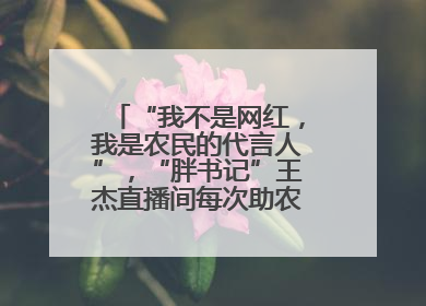 “我不是网红，我是农民的代言人”，“胖书记”王杰直播间每次助农卖货上万元