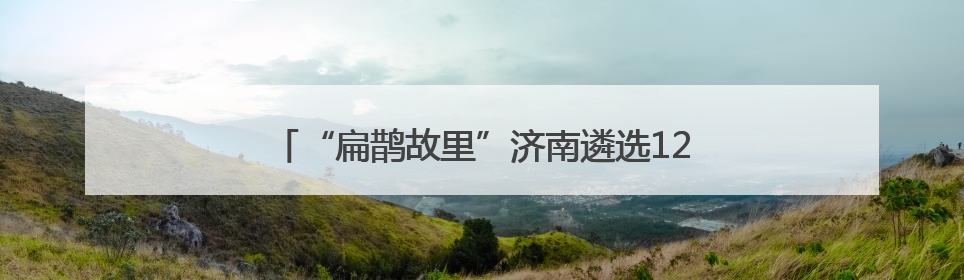 “扁鹊故里”济南遴选12种中医养生技术“进万家”