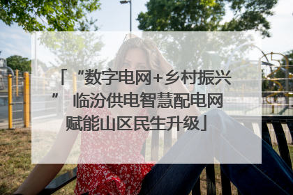 “数字电网+乡村振兴” 临汾供电智慧配电网赋能山区民生升级