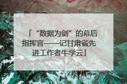 “数据为剑”的幕后指挥官——记甘肃省先进工作者牛学云