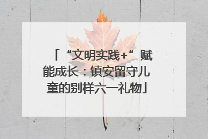 “文明实践+”赋能成长：镇安留守儿童的别样六一礼物