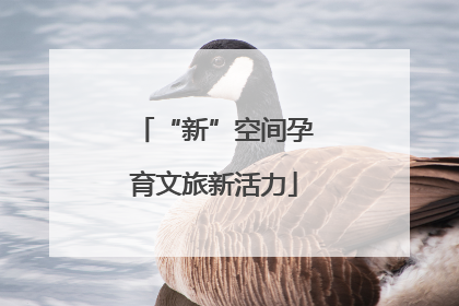 “新”空间孕育文旅新活力