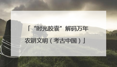 “时光胶囊”解码万年农耕文明（考古中国）