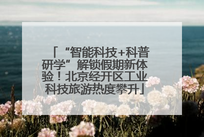 “智能科技+科普研学”解锁假期新体验！北京经开区工业科技旅游热度攀升