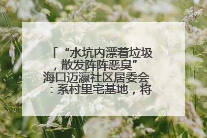 “水坑内漂着垃圾，散发阵阵恶臭” 海口迈瀛社区居委会：系村里宅基地，将派人打捞垃圾