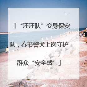 “汪汪队”变身保安队，春节警犬上岗守护群众“安全感”