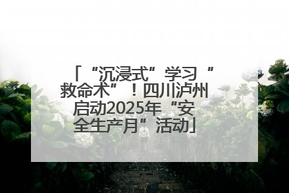 “沉浸式”学习“救命术”！四川泸州启动2025年“安全生产月”活动