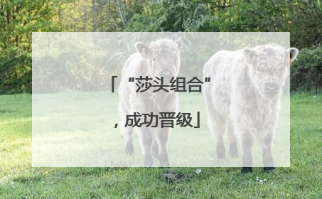 “莎头组合”，成功晋级