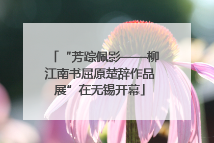 “芳踪佩影——柳江南书屈原楚辞作品展”在无锡开幕