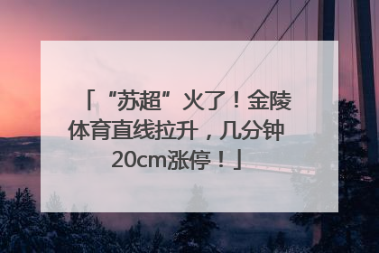 “苏超”火了！金陵体育直线拉升，几分钟20cm涨停！