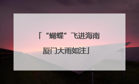 “蝴蝶”飞进海南 厦门大雨如注