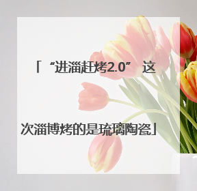 “进淄赶烤2.0” 这次淄博烤的是琉璃陶瓷