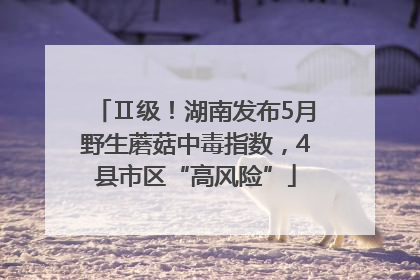 Ⅱ级！湖南发布5月野生蘑菇中毒指数，4县市区“高风险”
