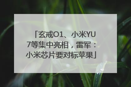 玄戒O1、小米YU7等集中亮相，雷军：小米芯片要对标苹果